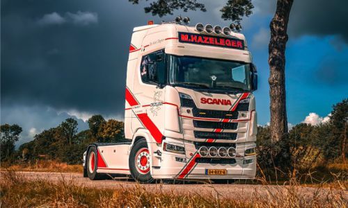 TRUCKS-481